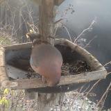 photo 2019-12-29 08-23-23