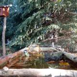 photo 2023-10-16 09-57-32