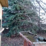 photo 2021-12-13 08-09-09