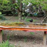 photo 2021-04-25 14-37-14