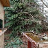 photo 2021-11-19 13-59-59