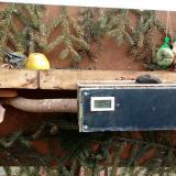 photo 2021-02-03 11-53-50