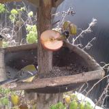 photo 2019-12-04 11-42-18