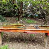 photo 2021-04-19 12-49-49