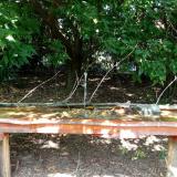 photo 2021-09-07 13-20-43