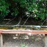 photo 2021-08-09 12-21-24