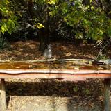 photo 2021-10-12 12-26-16