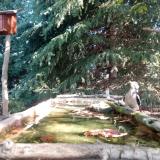 photo 2023-10-03 10-17-47