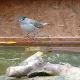 photo 2023-10-28 12-24-25 baratposzata