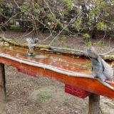 photo 2021-04-06 15-51-58