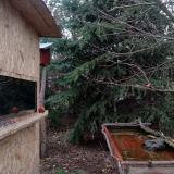 photo 2022-01-05 14-21-00