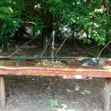 photo 2021-07-20 12-40-49