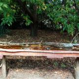 photo 2021-10-02 12-40-36