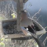 photo 2019-12-26 07-52-56