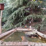 photo 2023-10-13 17-19-28