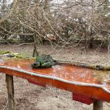 photo 2021-03-23 08-19-33