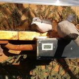 photo 2021-03-06 15-07-01