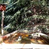 photo 2023-10-16 11-45-50