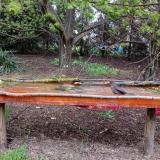 photo 2021-04-18 18-25-19