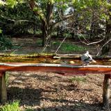 photo 2021-04-17 08-13-34