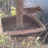 photo 2019-12-19 09-32-07