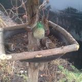 photo 2019-02-11 09-05-46