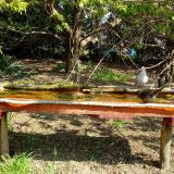 photo 2021-04-22 10-03-08