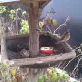 photo 2019-12-06 10-55-10