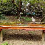 photo 2021-04-14 13-53-00