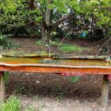 photo 2021-04-22 15-19-09