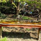 photo 2021-04-21 09-56-26