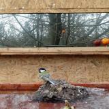 photo 2022-01-25 12-22-27