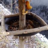 photo 2019-02-05 09-16-52