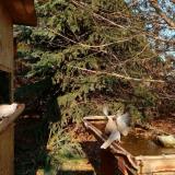 photo 2021-11-17 13-07-58