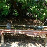 photo 2021-09-26 11-47-30