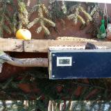 photo 2021-02-15 10-48-29