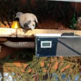 photo 2021-02-11 15-38-13