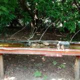 photo 2021-07-26 13-35-30