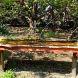 photo 2021-04-21 14-35-05