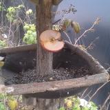 photo 2019-12-05 14-24-46