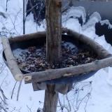 photo 2019-01-07 08-03-01