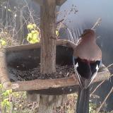 photo 2019-12-22 13-18-39