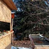 photo 2022-01-10 09-45-28