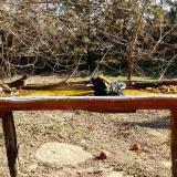 photo 2021-03-13 09-22-47