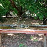 photo 2021-07-08 15-58-32