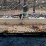 photo 2021-11-10 11-06-46