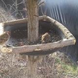 photo 2019-02-24 08-35-44