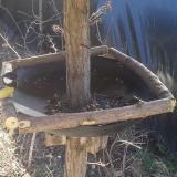 photo 2019-03-06 11-25-18