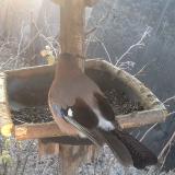 photo 2019-12-30 08-15-16