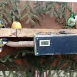 photo 2021-02-01 14-41-09